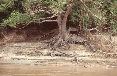 Mekong