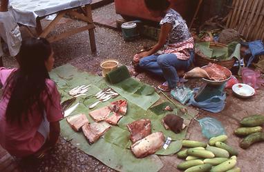 Mekong