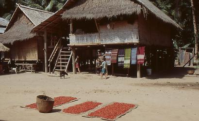 Mekong