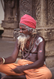 Sadhu