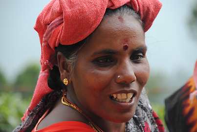 Tea-picker