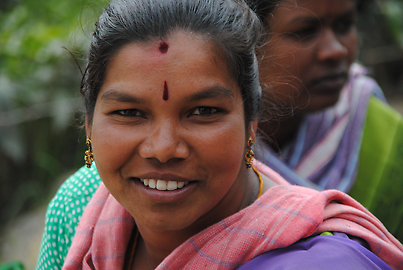 Tea-picker