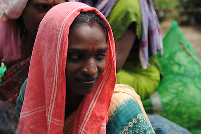 Tea-picker