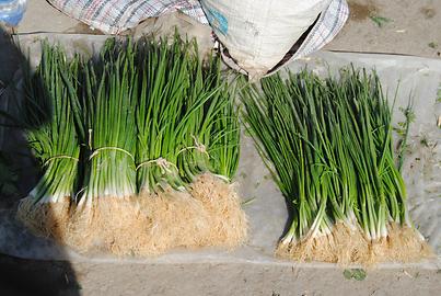 Vegetable stand