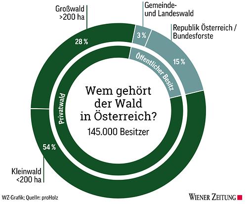 Warum Der Wald Sich Wandelt Kologie Essays Im Austria Forum