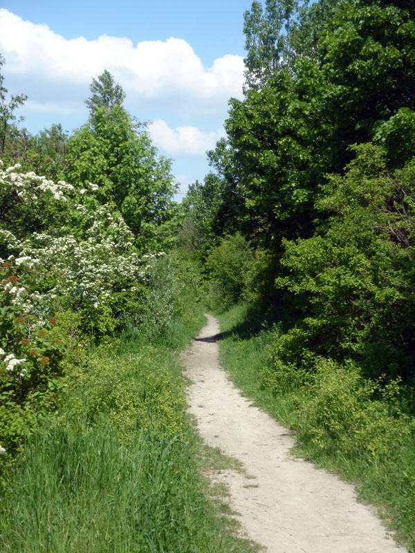 Wien, Marchfeldkanal, Jedlersdorf, © Foto M. Lödl