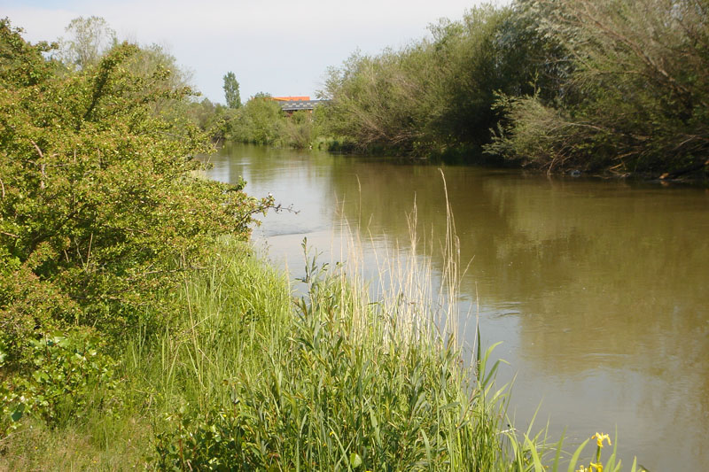 Gerasdorf, Marchfeldkanal, © Foto M. Lödl