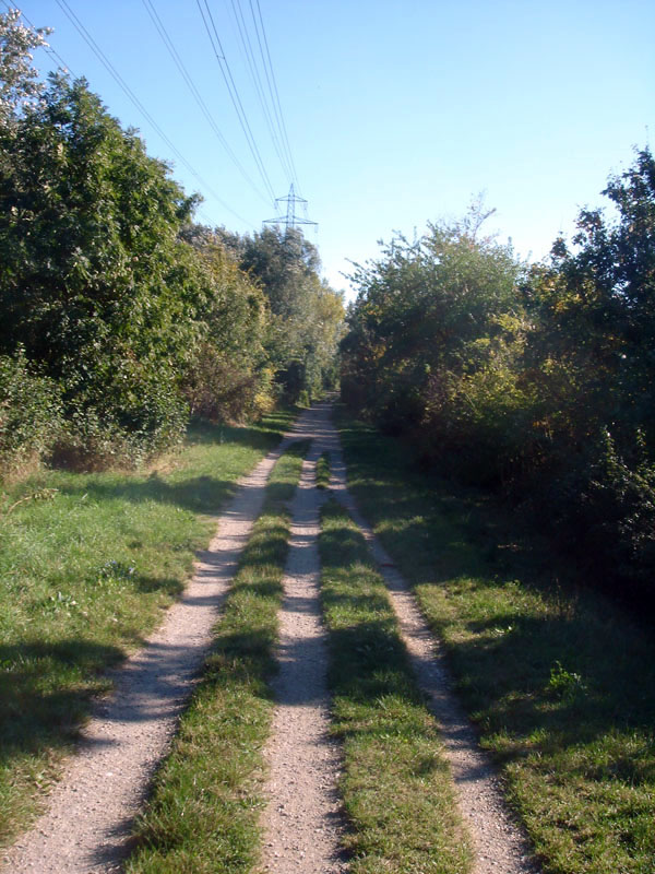 Langenzersdorf, Marchfeldkanal, NÖ, © Foto M. Lödl