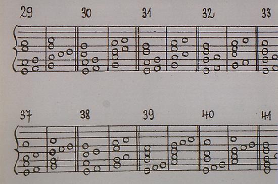 Ausschnitt aus der Tropentafel IV