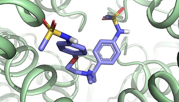 Dofetilid-Molekül des hERG-Kanals
