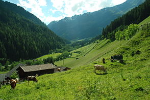 Das Oberbergtal (Blick taleinwärts)