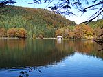 Hinterer Langbathsee