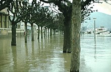 Hochwasser Boppard Rheinanlagen 1980