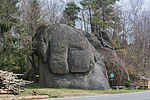Elefantenstein im Naturpark