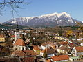 Blick von Trofaiach auf den Reiting