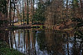 Schlosspark mit Teich