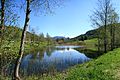 Teich bei Trins: Blickrichtung Osten auf Pendelstein