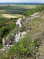 Die steil abfallenden Kalkfelsen mit Berg-Gamander (Teucrium montanum) im Vordergrund.