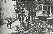 Der Hofsalonwagen in der Ausweiche beim heutigen Holzrechenplatz auf der Rauhensteiner Linie (1925).
