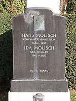 Hans Molisch Ehrengrab