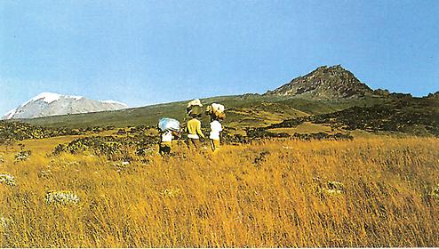 Kilimandscharo (links) und Mawensi