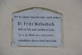 Friedrich Welwitsch, Gedenktafel