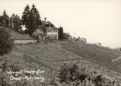 Weingut Hochkofler (Harterhaus) im Jahr 1955