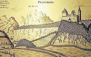 Burg Pfannberg