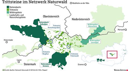 Trittsteine im Netzwerk Naturwald