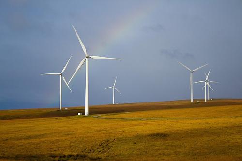 Die Energiewende ist wichtig für den Klimaschutz. Wo Windräder stehen, ist aber für die Umwelt relevant.