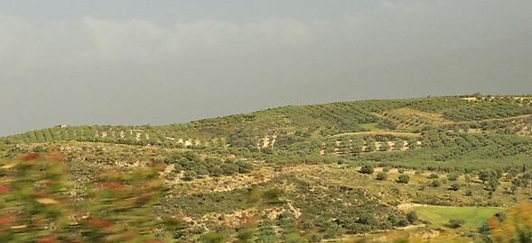 Das fruchtbare Messara-Tal 2