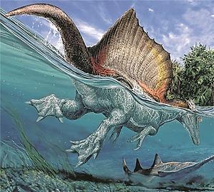 Der Spinosaurus jagt im Wasser nach Beute