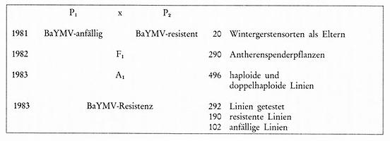 Tab. 3: Protokoll einer Ahnenkultur zum Aufbau von BaYMV-Resistenz in Wintergerste in der BBA Grünbach (nach WENZEL, 1983)