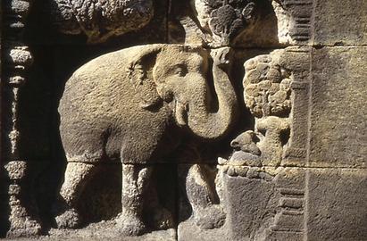 Elefantendarstellung
