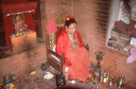 Dharma Dhana Bajracharya