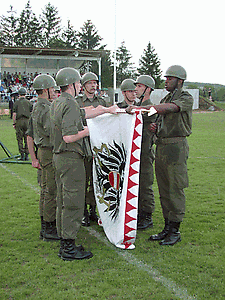 Angelobung von 500 Jungmännern in Schattendorf (2003)