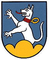 Wappen von Antiesenhofen