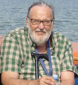 Professor Dr. Dr. h.c. mult. Arto Salomaa