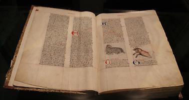 Natur-Enzyklopädie um 1435