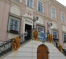 Rathaus Klosterneuburg