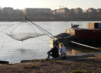 Daubel an der Donauinsel