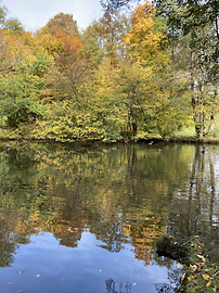 Schwarzenbergpark