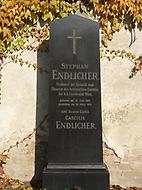 Stephan Endlicher, Ehrengrab