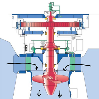 Abb. 5: Senkrecht eingebaute Kaplanturbine