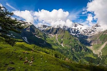 Großglockner Hochalpenstraße