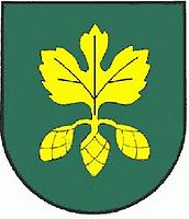 Wappen von Hopfgarten in Defereggen