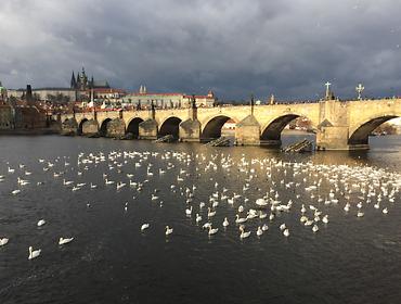 Karlsbrücke Prag