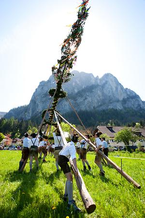 Maibaumsetzen (Maibaumaufstellen)