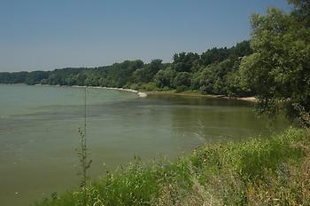 Donau-March-Mündung