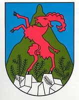Wappen von Mittelberg